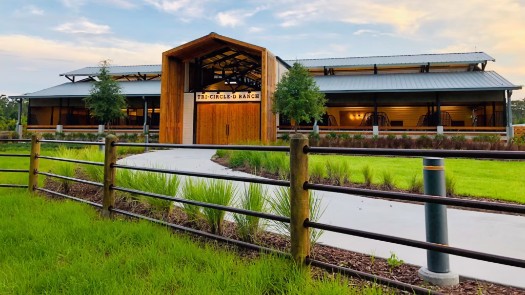 disney tri circle d ranch